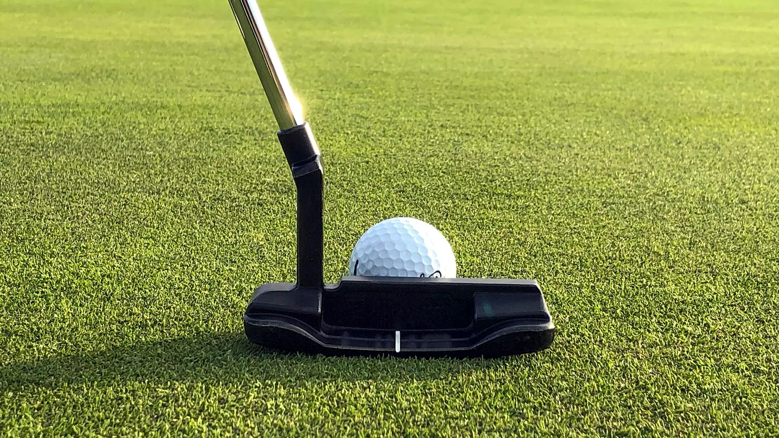 Planning a Backyard Putting Green: Size, Cups and Breaks
